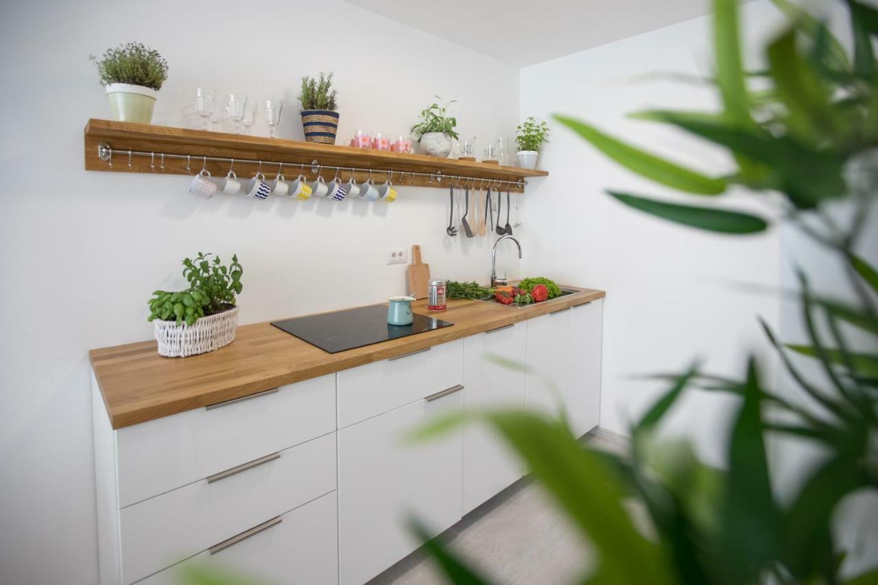 Family Apartment With Garden Ljubljana Eksteriør billede